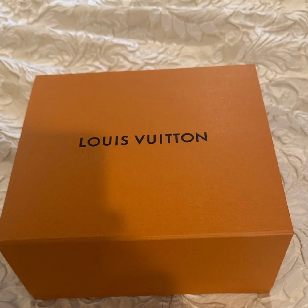 Louis Vuitton Signature Orange Box and bag - Picture 1 of 9